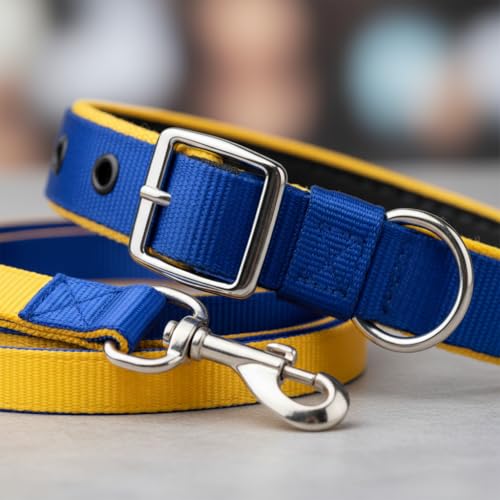 Image of Dog Leash with Padded Handle and Padded Collar Set | Adjustable Nylon Dog Collar & Heavy Duty Leash with Strong Metal Clip | Useful for Small Medium Large Dogs (Blue & Yellow)