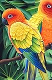 Carnet de Notes Tropical : Conures Soleil dans la Jungle Exotique: 128 pages lignées, couverture reliée, rigide, brillante, illustration exclusive par Aline Belliard