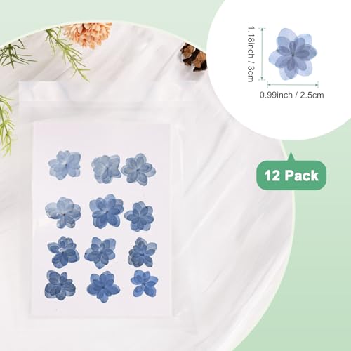 Flores secas prensadas naturales azules 12 piezas para manualidades miniatura 3
