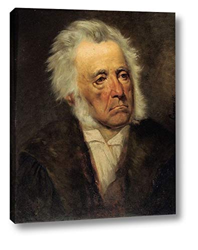 Portrait of Arthur Schopenhauer by Johann Von Strasioipka Canon -