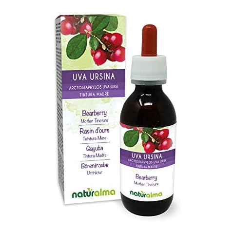 Bearberry (Arctostaphylos uva Ursi) Leaves Alcohol-Free Mother Tincture Naturalma | Liquid Extract Drops 120 ml | Food Supplement | Vegan Cover
