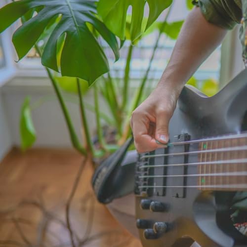 Page de couverture de Les plantes sont-elles sensibles à la musique et au rock ?