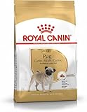 6 x 1.5kg (Full Box) Royal Canin Pug Complete Adult Dog Food