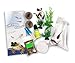 Tadpole to Frog Starter Kit - Includes Certificate for 2 Live Tadpoles - All-in-One Bundle with Habitat, Food, Instructions - Ideal for Education and Home Observation