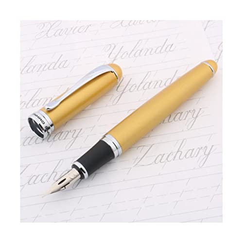 SXRUY Pluma estilográfica Pluma estilográfica Copperplate caligrafía G Nib Cuerpo floreciente Redondo papelería Oficina Escuela Suministros Pluma de Tinta