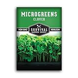 Clover Microgreen Seeds for Sprouting - Heirloom Non-GMO Red Clover Seeds to Sprout Fresh, Mild Microgreens - Indoors or Hydroponic - Fast Growing, High Yield - Survival Garden Seeds (1 Pack)