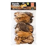 Galapagos (05150 Natural Magnolia Leaf Litter – Reptile Substrate for Bioactive Vivariums, Bearded Dragon, Gecko, and Snake Tank Accessories, 100% Natural Terrarium Décor, 4Qt