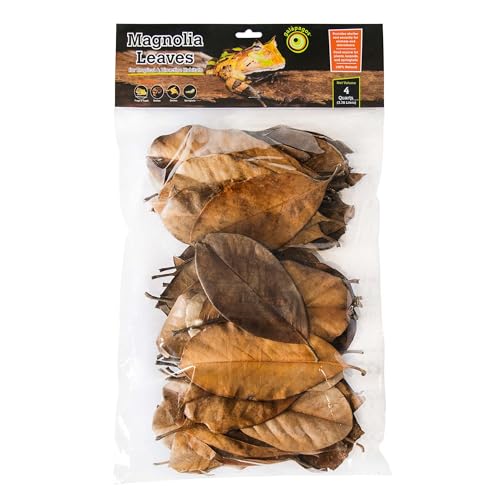 Galapagos (05150 Natural Magnolia Leaf Litter – Reptile Substrate for Bioactive Vivariums, Bearded Dragon, Gecko, and Snake Tank Accessories, 100% Natural Terrarium Décor, 4Qt