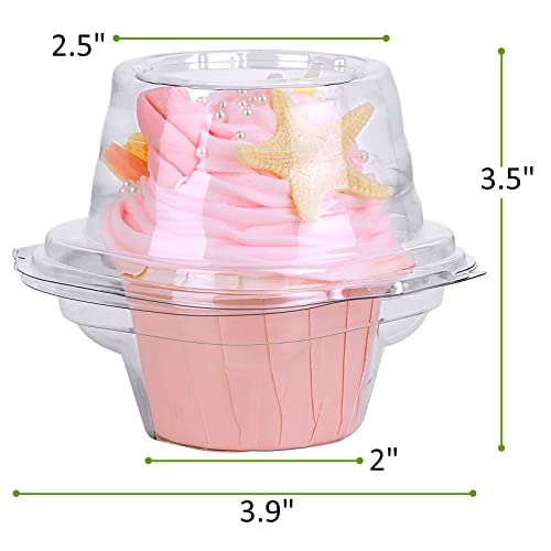 HIMETSUYA Cupcake Boxes Individual Cupcake Containers, 50 Packs Regular Single Cupcake Holder High Topping for Muffins, Thicker Stackable Plastic Cupcake Carrier for Party (50 pack)