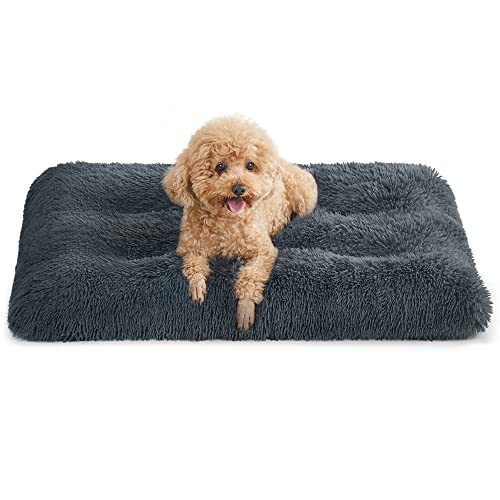 Feandrea Cuccia per Cani, Tappetino per Animali di Peluche Morbida, 80 x 50 cm, Imbottitura Soffice, Lavabile in Lavatrice, Cuscino per Cani Multiuso, Grigio Scuro PGW201G02