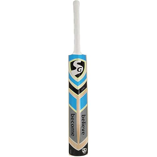 SG RSD Spark Kashmir Willow Cricket bat