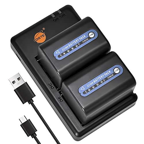 Pack double batterie NP-FM70 haute capacité avec chargeur de voyage pour Sony CCD-TRV150