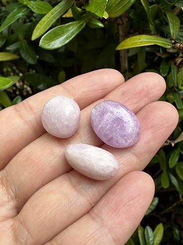 Image of GAF TREASURES 1 /2 LB Kunzite Tumbled Stones, Polished Natural Kunzite Gemstone, Kunzite Healing Crystals (Kunzite)