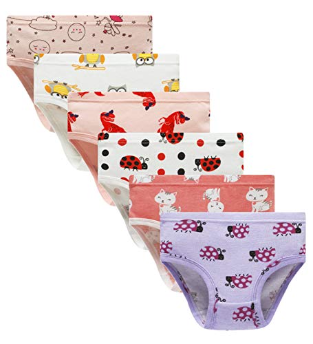 Barara King Girls' Undies 100% Cotton Panties Little Girls Soft Underwears Kids Briefs (Pack of 6) Size 4 5