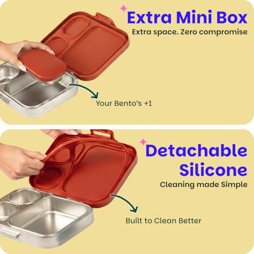 Image of Basil Bento Box Quad Plus - 4 Compartment Stainless Steel Lunch Box (1020ml) with BPA-Free Lid | Leak-Proof Tiffin for Kids & Adults | Premium Lunch Box for School, Office & Picnic - Desi Mitti