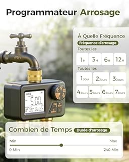 Diivoo Programmateur Arrosage Automatique avec Entrée et Sortie en Laiton, IP66 Minuteur Arrosage avec Grand Écran LCD, Retard de Pluie, Arrosage Manuel pour Pelouse et Jardin
