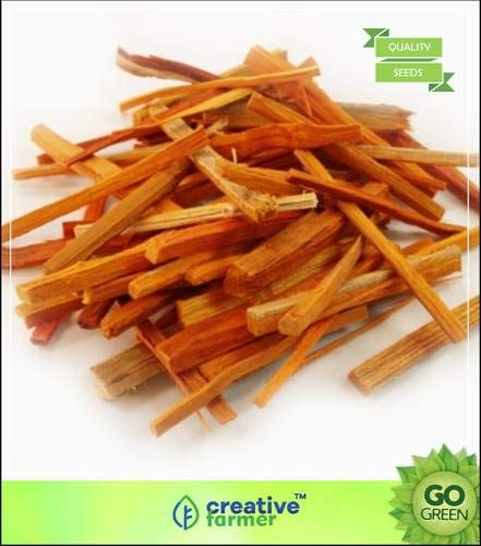 Pinkdose Tree Seeds: Caesalpinia Sappan Brazil Wood Or Pattaranjka Tree 20 Seeds Seed