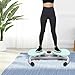 Colaxi Waist Twisting Machine Waist Twister for Women Men 100kg Large Weight Capacity with Pull Cords Ab Machine Exercise Equipment, Blue