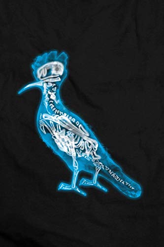 Camiseta Infantil Pica Pau Raio X Ii Reserva Mini