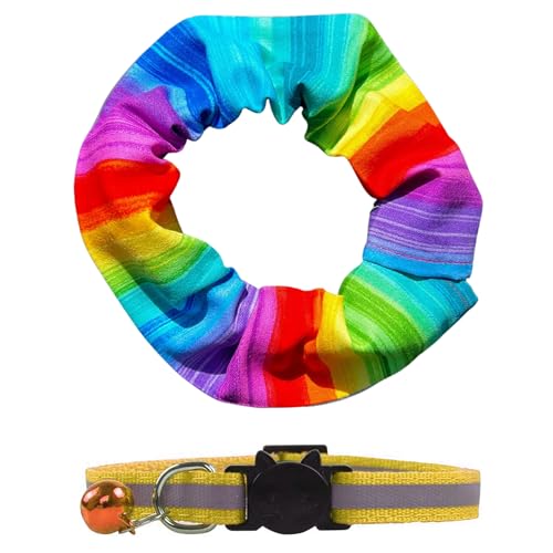 10 Best cat collars to stop bird catching