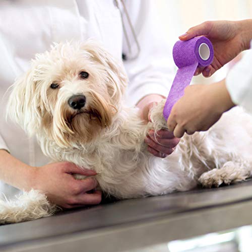 Lotfancy Vet Wrap, 4 Inch X 5 Yards, 10 Pack Self Adhesive Bandage Wrap, Non-Woven Cohesive Bandage, First Aid Tape For Horses Dogs Cats Elbow Ankle, Assorted Color #TOP7