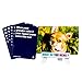 WHAT DO YOU MEME? Basic Expansion Pack Designed to be Added to Core Game