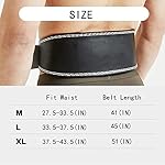 Weight Lifting Belt Back Lumbar Support Strength Training Fitness Workout Home Gym - Image 3