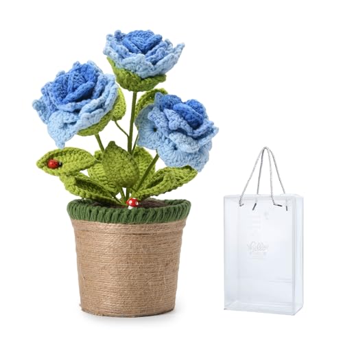 Plantes en pot en crochet bleu azur pour illuminer votre bureau et salon