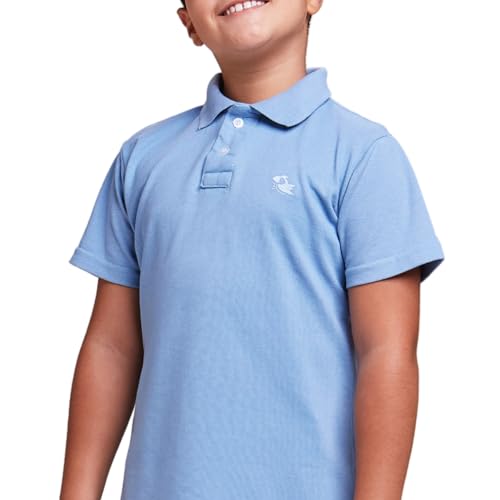 Camisa Polo Basica Infantil Masculina (12, Azul)