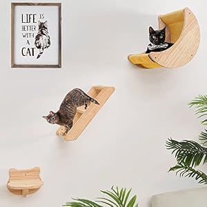 Cat Shelf for Wall Hammock Climbing Shelves and Perches Solid Wood Cat Steps for Activity Indoor Cats Wall Furniture 3pcsSet