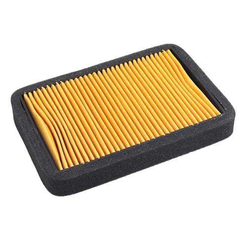 Filtre à air moto pour Benelli BN 125 et TNT 150 150i 49200L290000