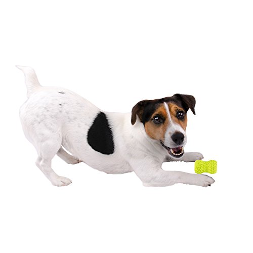 Nerf Dog 2.75In Tire Feeder - Green, Dog Toy #TOP4