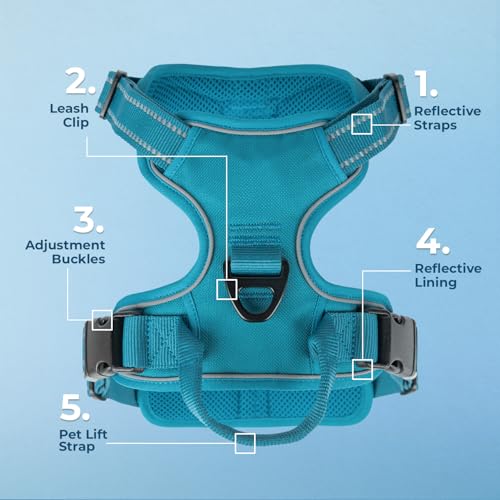 Image of Voyager Dog Harness Dual Leash Attachment No-Pull Control Adjustable Soft but Strong Pet Harness for Medium and Large Dogs with 3M Reflective Technology, Leash Set Turquoise Nylon, M (Chest: 20-25 inch)