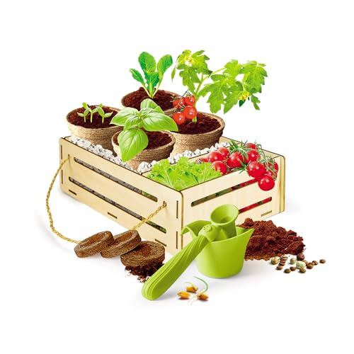Clementoni 52518 Science et Jeu Jardin et Potager Play for Future Jeu Scientifique Jeu botanique Enfant Version française fabriqué en Italie et Plus - vue 7