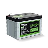 RoyPow 12V 12Ah リン酸鉄リチウムイオンバッテリーLiFePO4 電動リール用バッテリー 3500サイクル BMSバッテリシステム内蔵 子供用スクーター、RV 魚群探知機、ソーラーシステム、UPSなどに対応