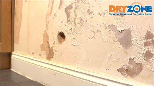 Dryzone vochtwerende crème 310ml (5 pakken) - Vochtwerende injectie crème voor opstijgend vocht behandeling - Afbeelding 6