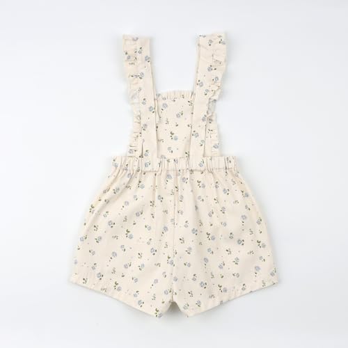 HOOLCHEAN Baby Toddler Girls Spring Summer Blue Flower Ruffled Shortalls2