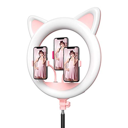 GRTE LED Fülllicht, 20 Zoll LED-Ringlicht Blitz, Dreistufige Moduseinstellung - Kalt, Warm, Gemischt Zehnstufige Intensitätseinstellung,Multifunktion Für Live-Beauty-Fotografie Selfie,Rosa Cover