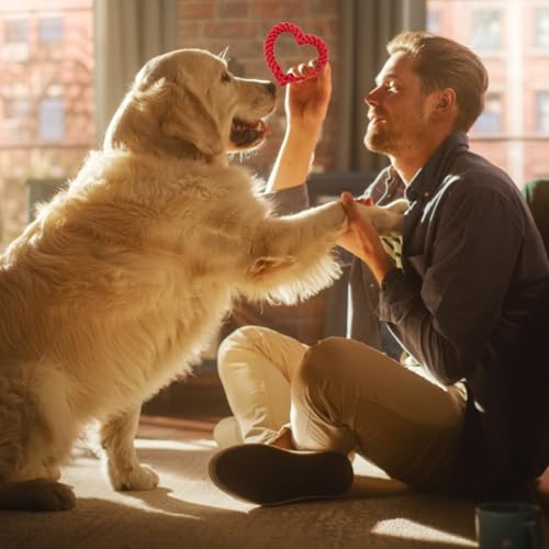 OUDQFCJ 2 Stück Robustes Kauspielzeug für Welpen, Interaktives Hundespielzeug, für Zahnreinigung, Hundespielzeug Herzform, Puppy Seil Spielzeug Geflochtene, für Kleine Mittelgroßen Hund