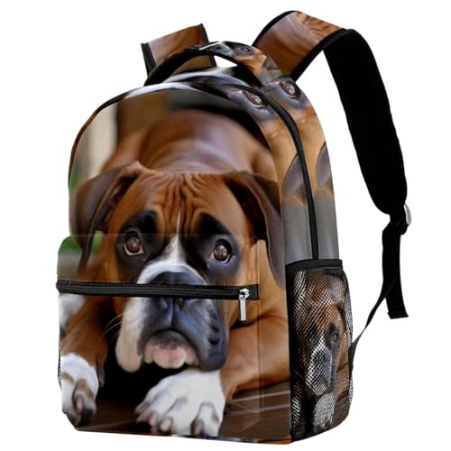 Travel Backpack,Work Backpack,Boxer Dog on the Grass,Back Pack