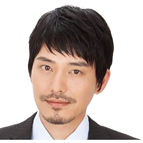 XUSHI Mens Wig Middle-Aged Man's Wig Asian Wig Daily Wear Wig Workplace Wig Realistic Wig Short Wigs