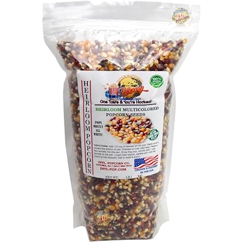 ORGANIC, Heirloom Multi-colored Popcorn Kernels Cover