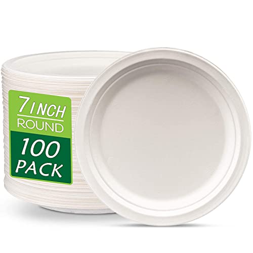 JEBBLAS 18 cm Paper Plates, 100 Pack Disposable Plate, 100% Compostable Lunch or Dinner Size Biodegradable Microwave and Freezer Safe Plate