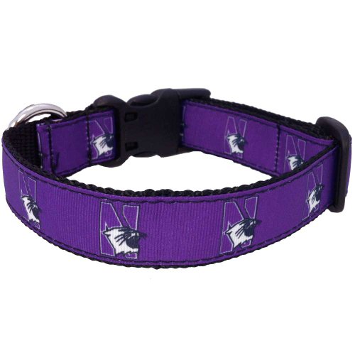 All Star Dogs NCAA Northeastern Huskies Hundehalsband