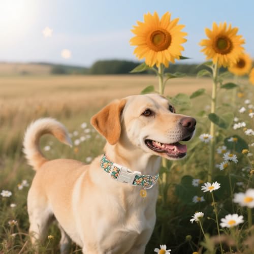DOGWONG Hundehalsband, Hunde Halsband für Kleine Mittlere und Große Hundes, Komfort Gemustertes Hundehalsbänder Verstellbares, Green Flower Hunde Kragen
