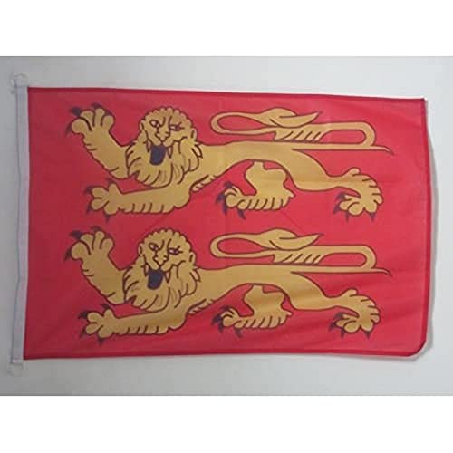 AZ FLAG - Drapeau Basse-Normandie Spécial Extérieur - 90x60 cm - Pavillon Nautique Bas-Normand - France En Maille Bloquée Avec Anneaux Plastiques Intégrés...