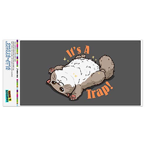 GRAPHICS & MORE It's a Trap Cat Belly Rubs Funny