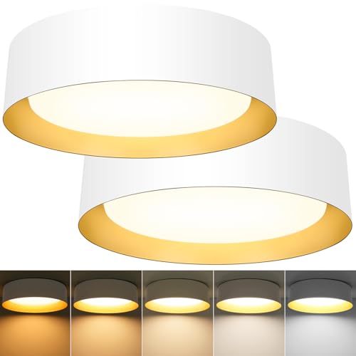 Image of Flush Mount Ceiling Light, 16in Modern Ceiling Light 5 Color Temperature