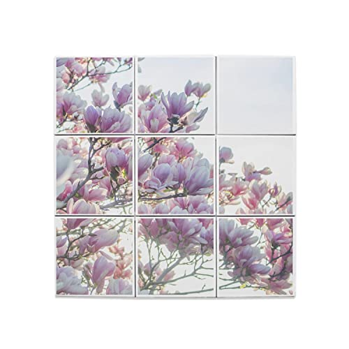 Carreaux Céramique Fleurs de Cerisier pour sublimer le mur du salon