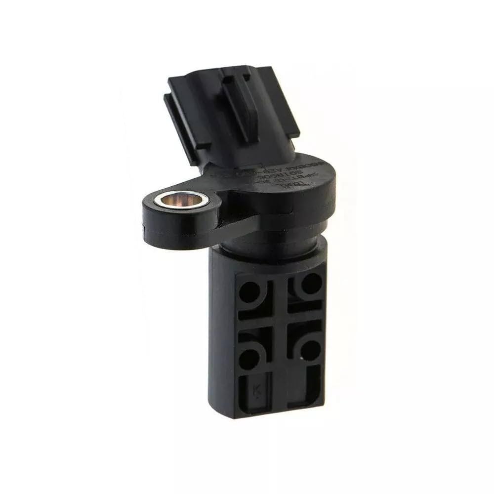 かに 41PkzMnCJrL._UF1000,1000_QL80_.jpg